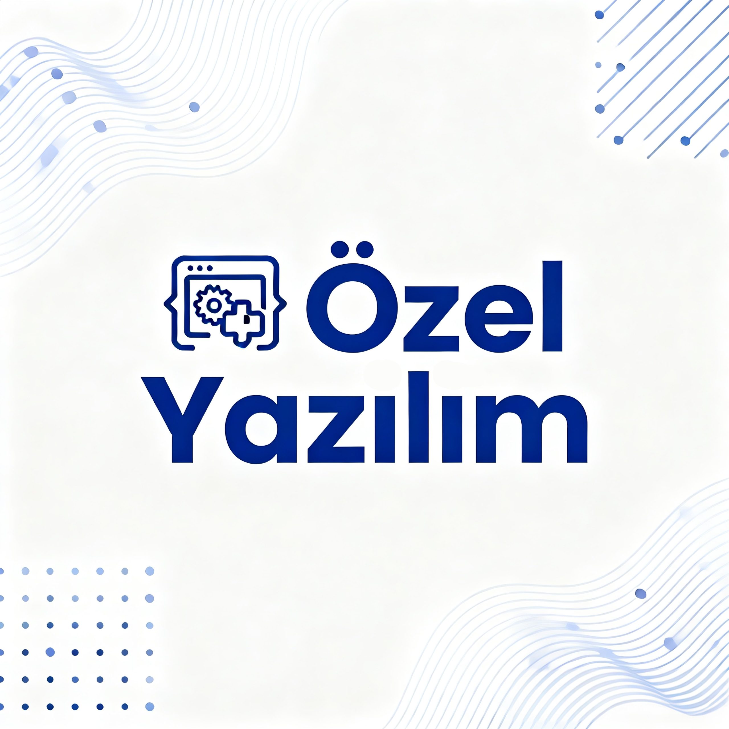 Özel Yazılım